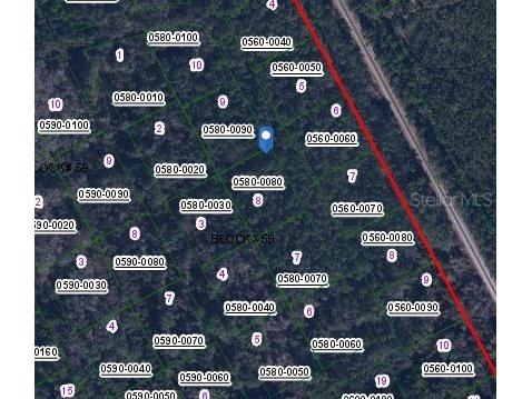 422 Madison Street Satsuma FL 32189 OM629910 image2