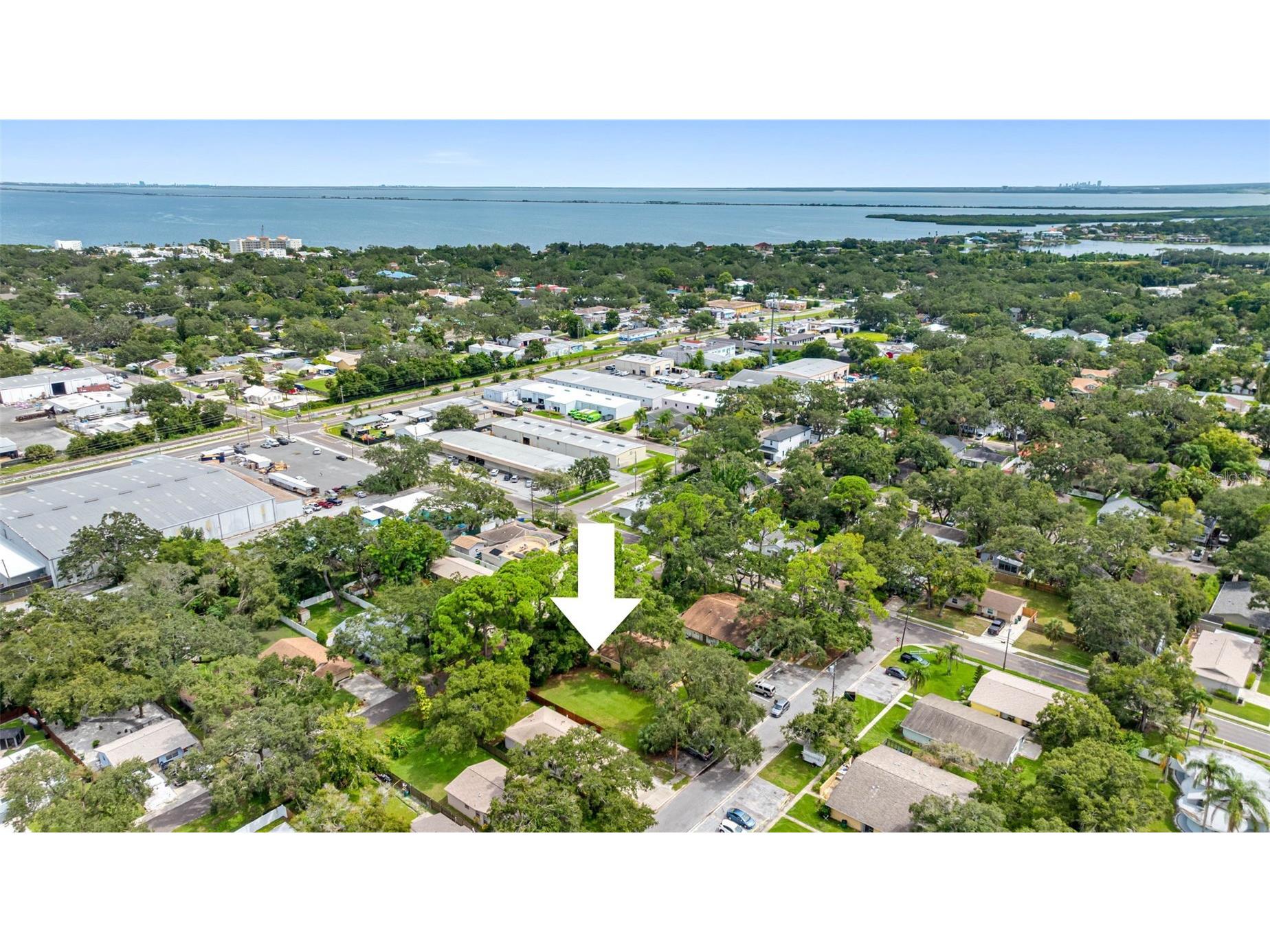 422 Maple Way Safety Harbor FL 34695 TB8425944 image16