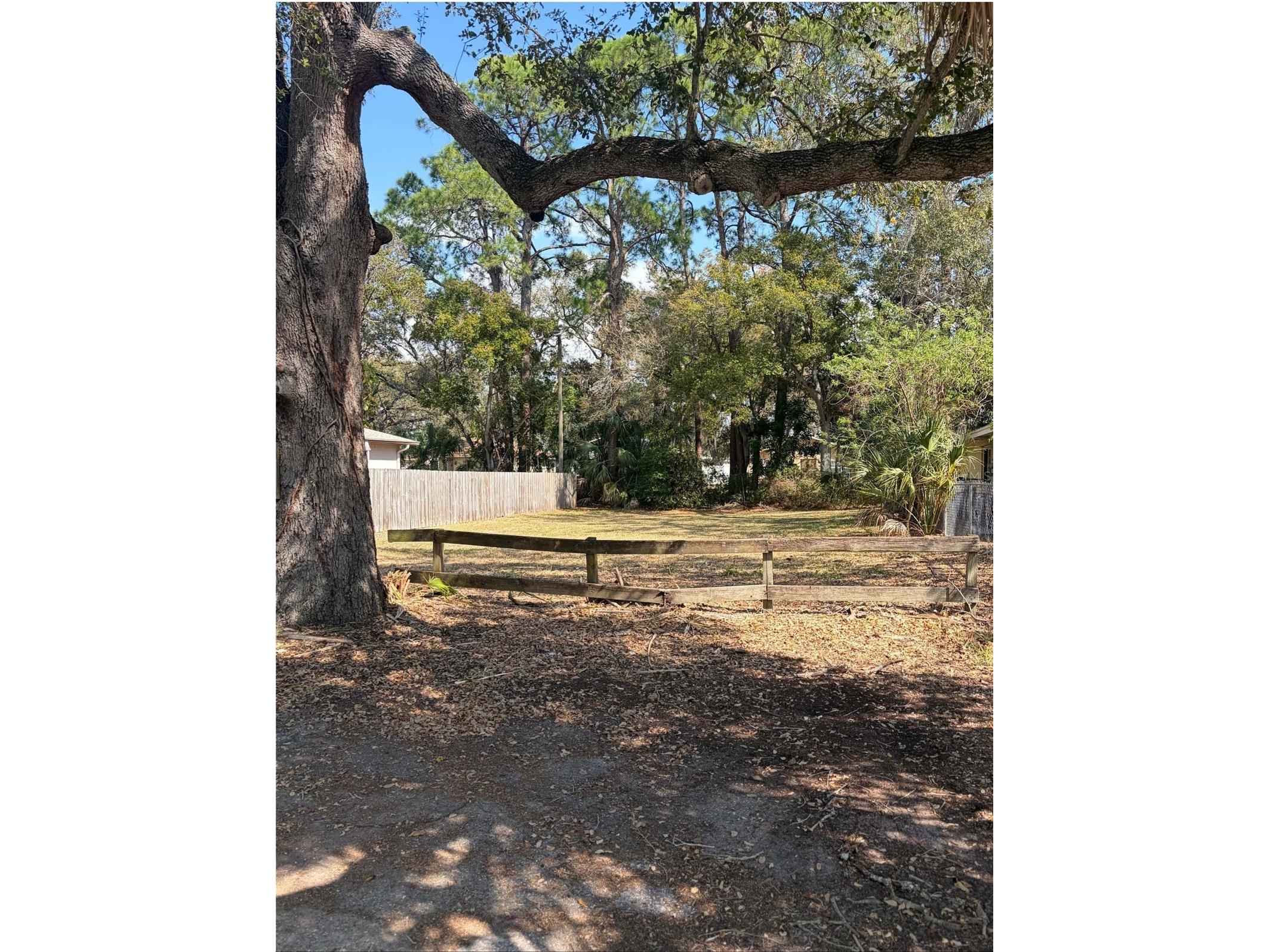 422 Maple Way Safety Harbor FL 34695 TB8425944 image3