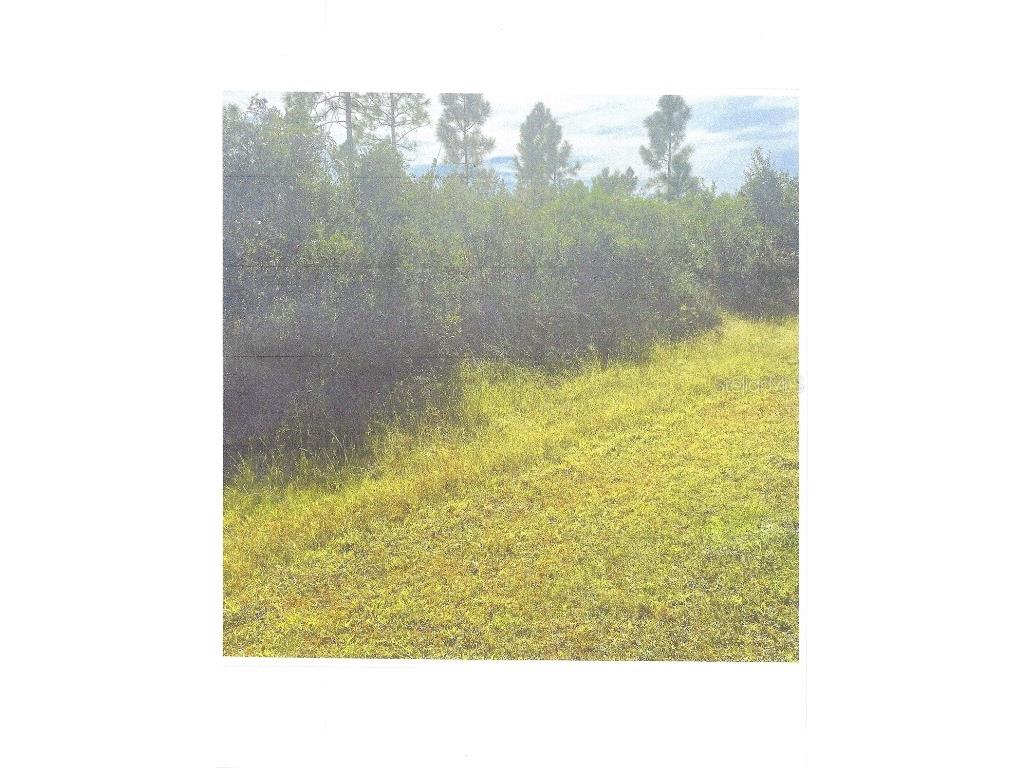 422 Portulaca Drive Indian Lake Estates FL 33855 O6306485 image4