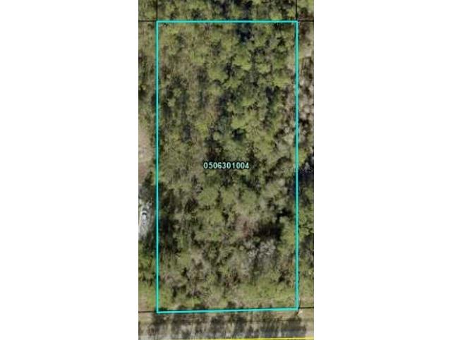 4220 Cedar Ford Boulevard Hastings FL 32145 FC295347 image1