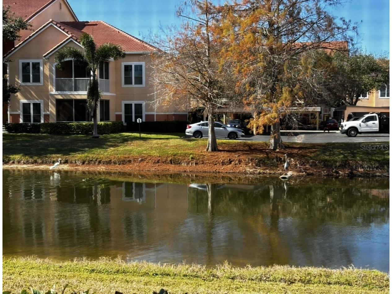 4220 Central Sarasota Parkway #1214 Sarasota FL 34238 A4682488 image61