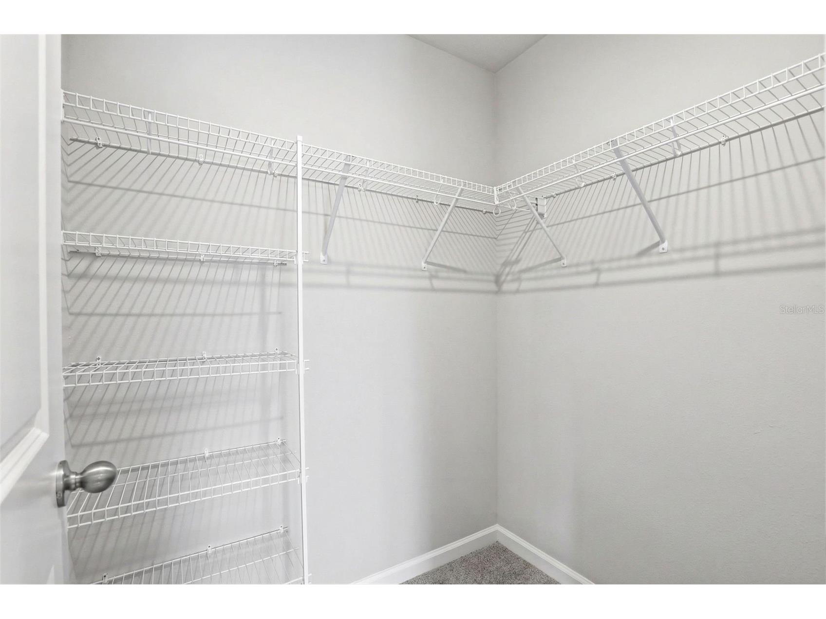 4220 Cloud Hopper Way Lutz FL 33559 TB8490982 image40
