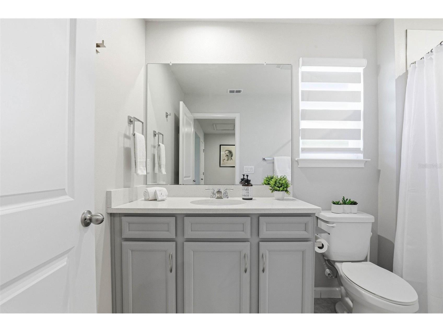 4220 Cloud Hopper Way Lutz FL 33559 TB8490982 image43