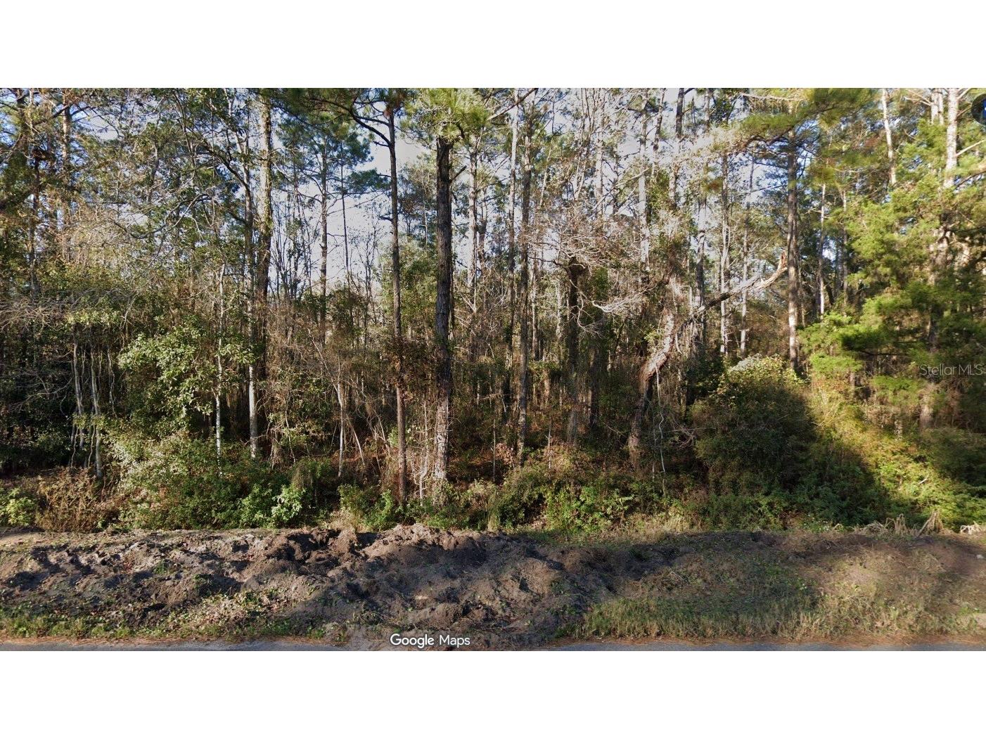 4220 Helena Street Hastings FL 32145 O6360447 image1