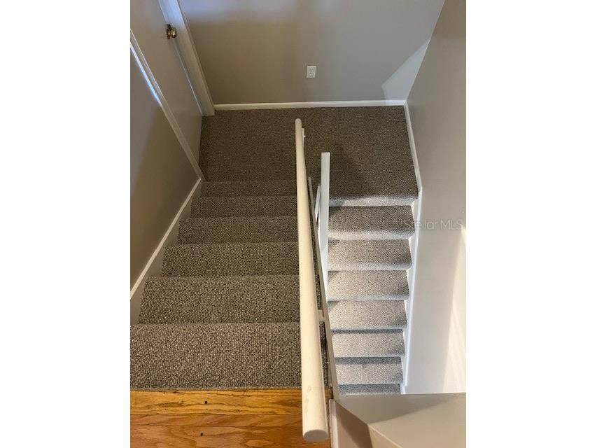 4220 La Dega Court Tampa FL 33611 TB8487759 image13