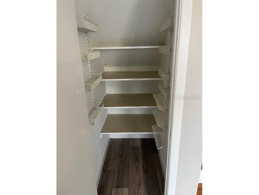 4220 La Dega Court Tampa FL 33611 TB8487759 image9