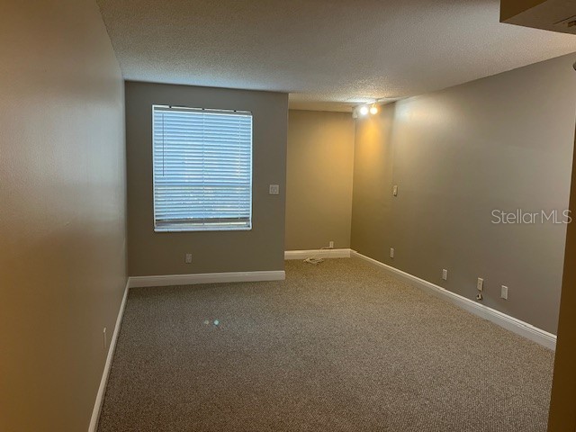4220 La Dega Court Tampa FL 33611 TB8488232 image11