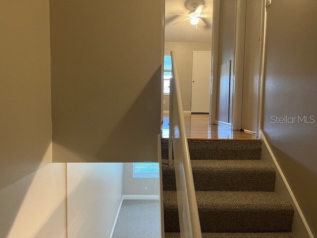 4220 La Dega Court Tampa FL 33611 TB8488232 image15