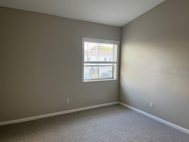 4220 La Dega Court Tampa FL 33611 TB8488232 image17
