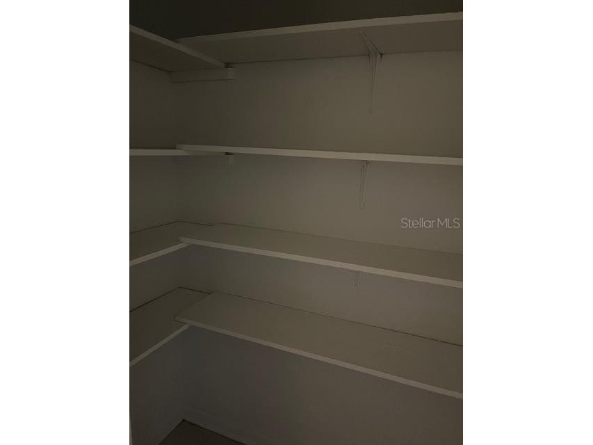 4220 La Dega Court Tampa FL 33611 TB8488232 image19