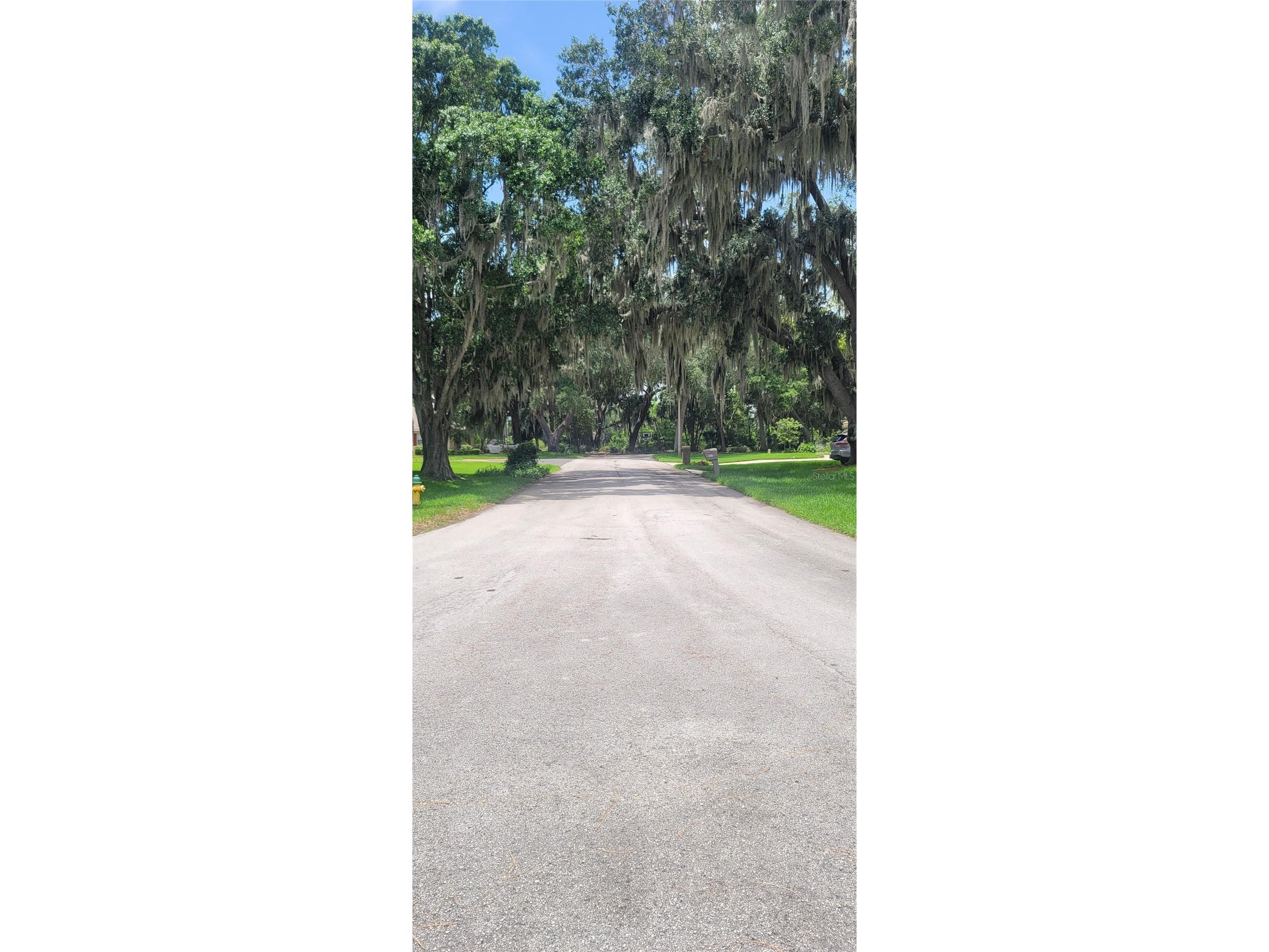 4220 Lake Marianna Drive Winter Haven FL 33881 G5113177 image3