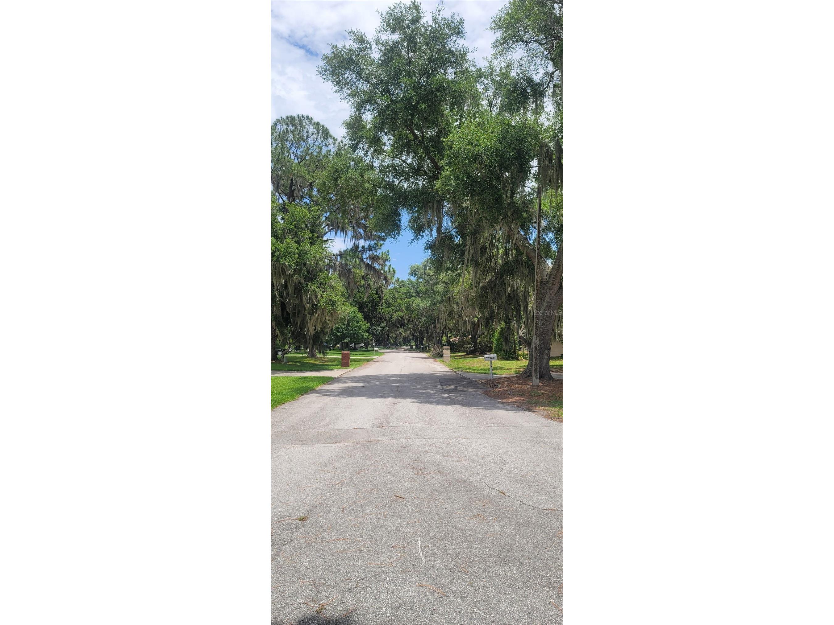 4220 Lake Marianna Drive Winter Haven FL 33881 G5113177 image4