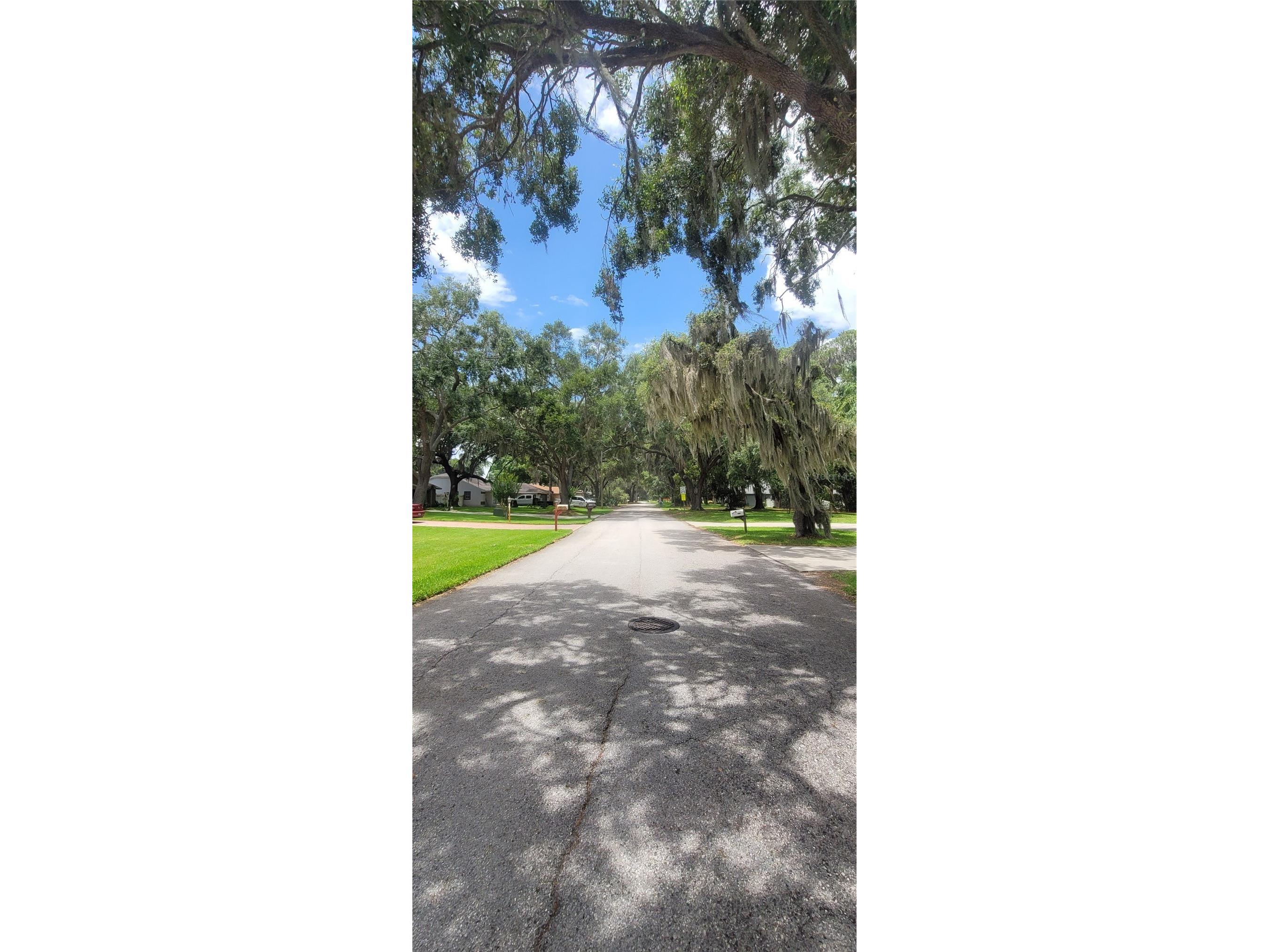 4220 Lake Marianna Drive Winter Haven FL 33881 G5113177 image8