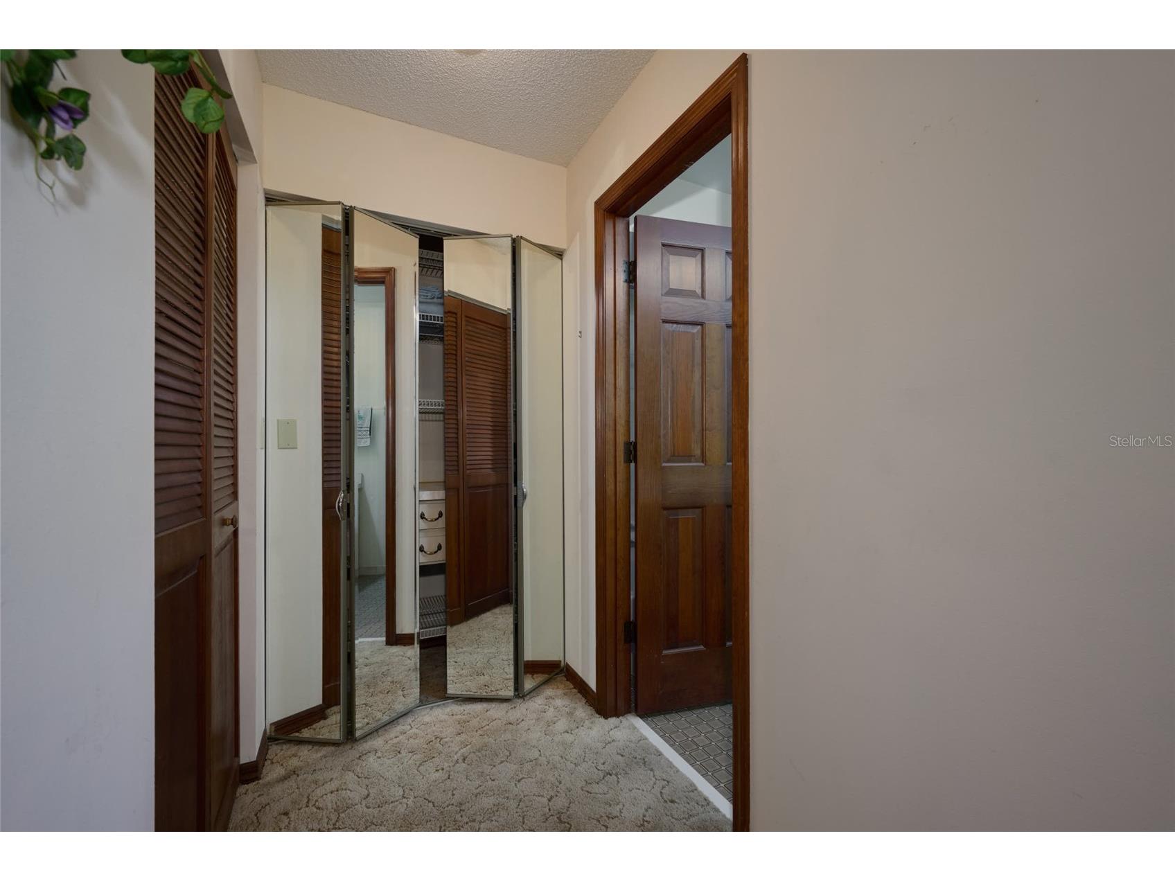 4220 Oleander Drive Indian Lake Estates FL 33855 TB8472682 image23