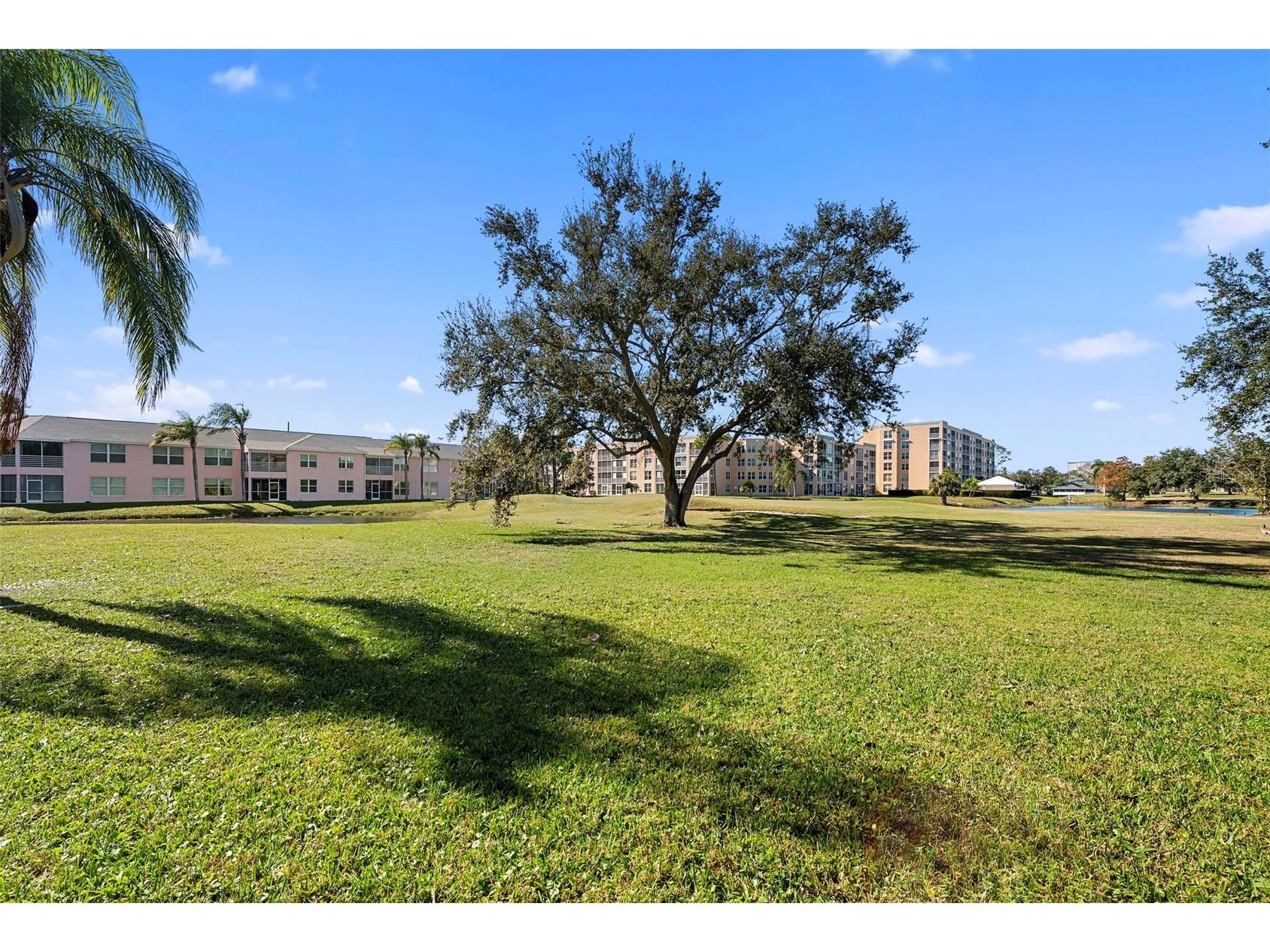 4220 Pinebrook Circle #10 Bradenton FL 34209 A4678345 image23