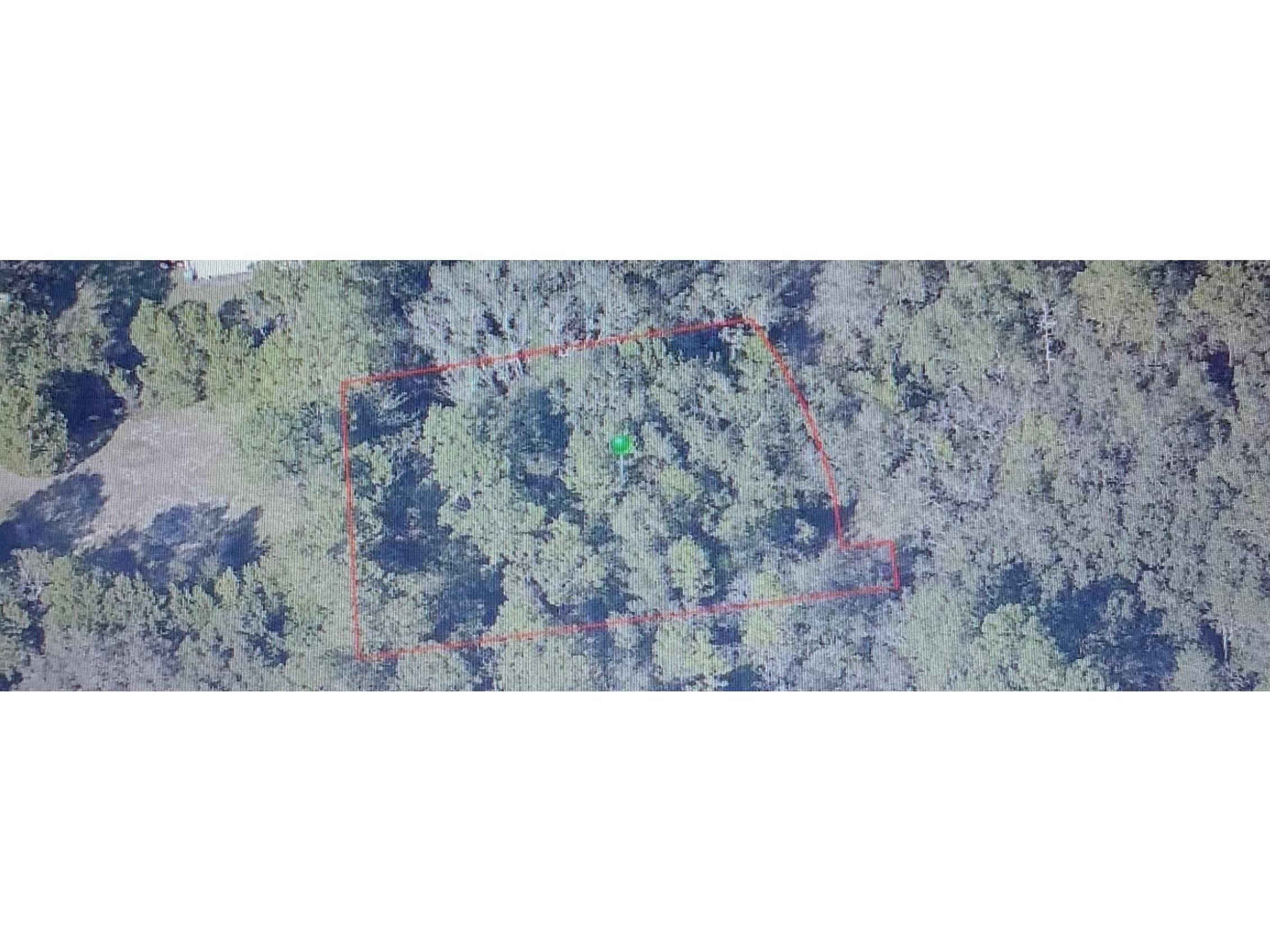 4220 S Joy Terrace Homosassa FL 34446 GC506676 image1