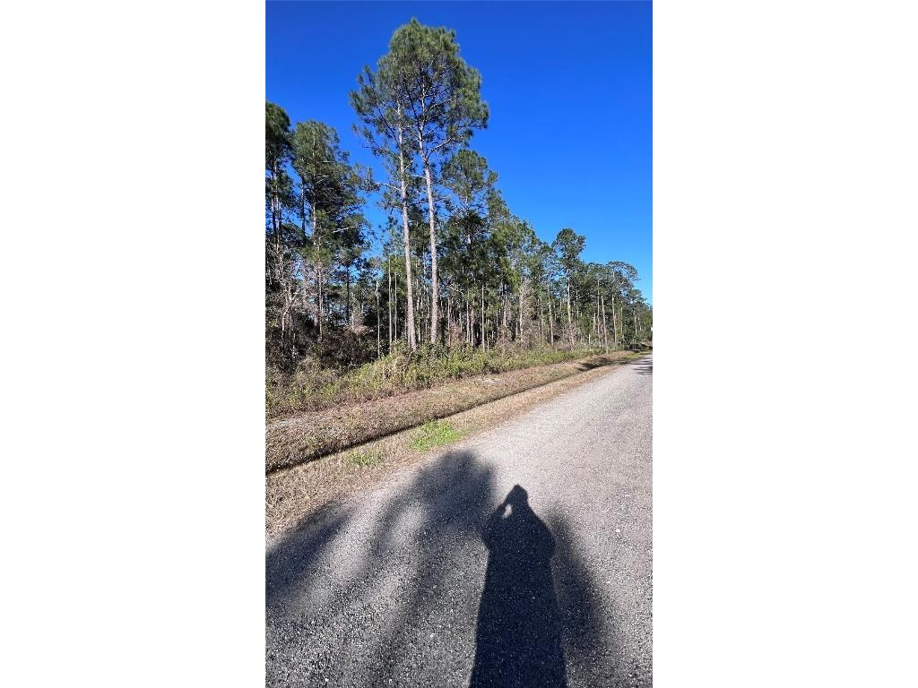 4220 Theresa Street Hastings FL 32145 O6183599 image1