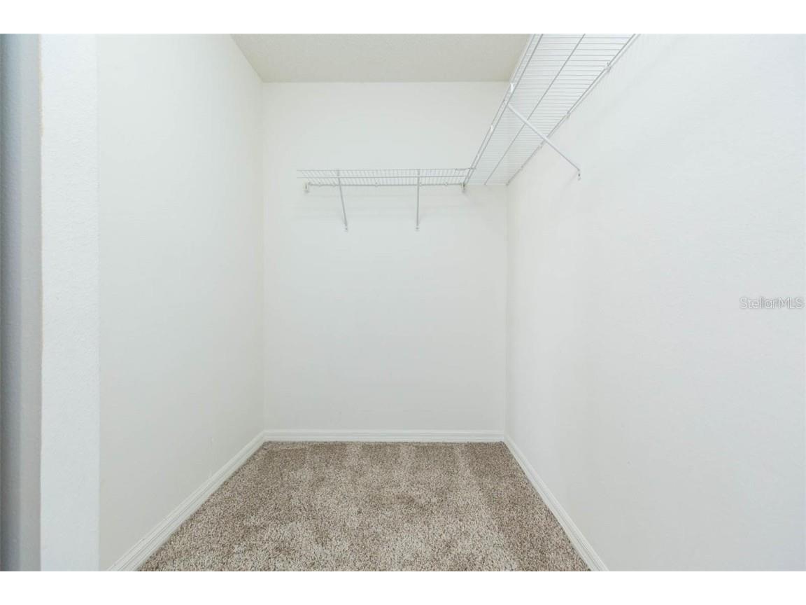 4220 Winding River Way Land O Lakes FL 34639 TB8444742 image16