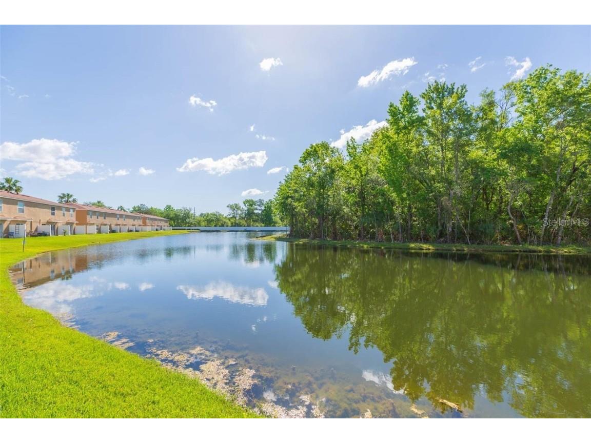 4220 Winding River Way Land O Lakes FL 34639 TB8444742 image4