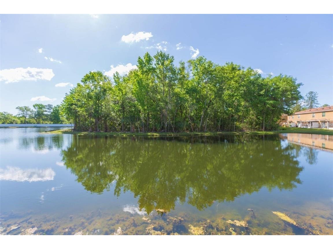 4220 Winding River Way Land O Lakes FL 34639 TB8444742 image6