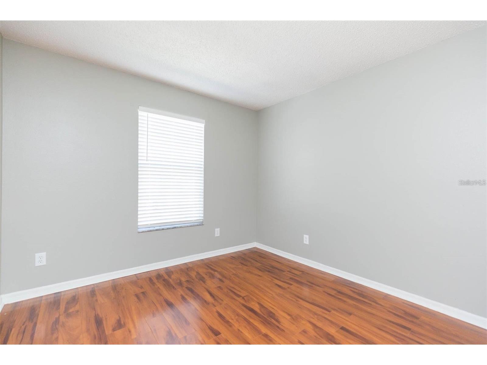 4220 Winding River Way Land O Lakes FL 34639 TB8490199 image19