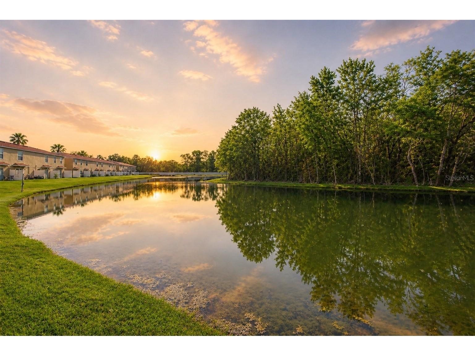 4220 Winding River Way Land O Lakes FL 34639 TB8490199 image4