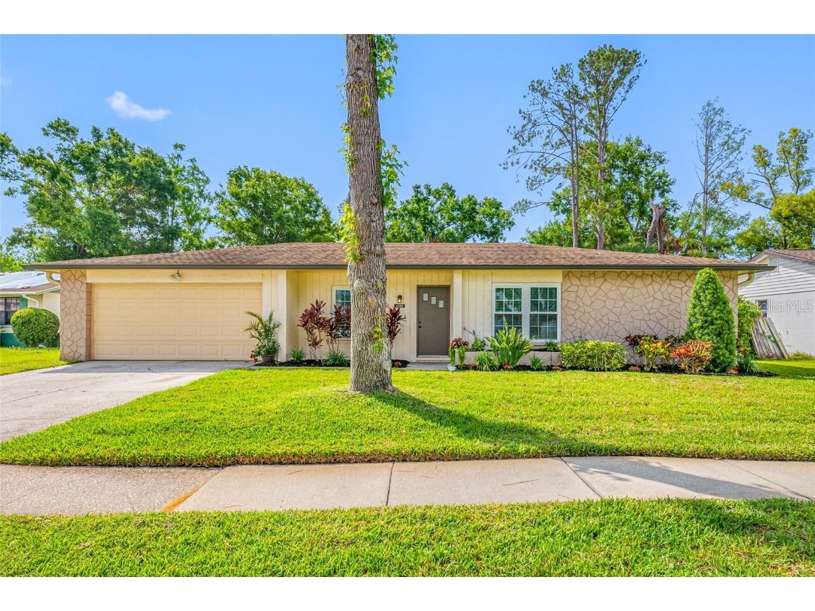 4220 Woodlark Drive Tampa FL 33624 TB8389520 image1