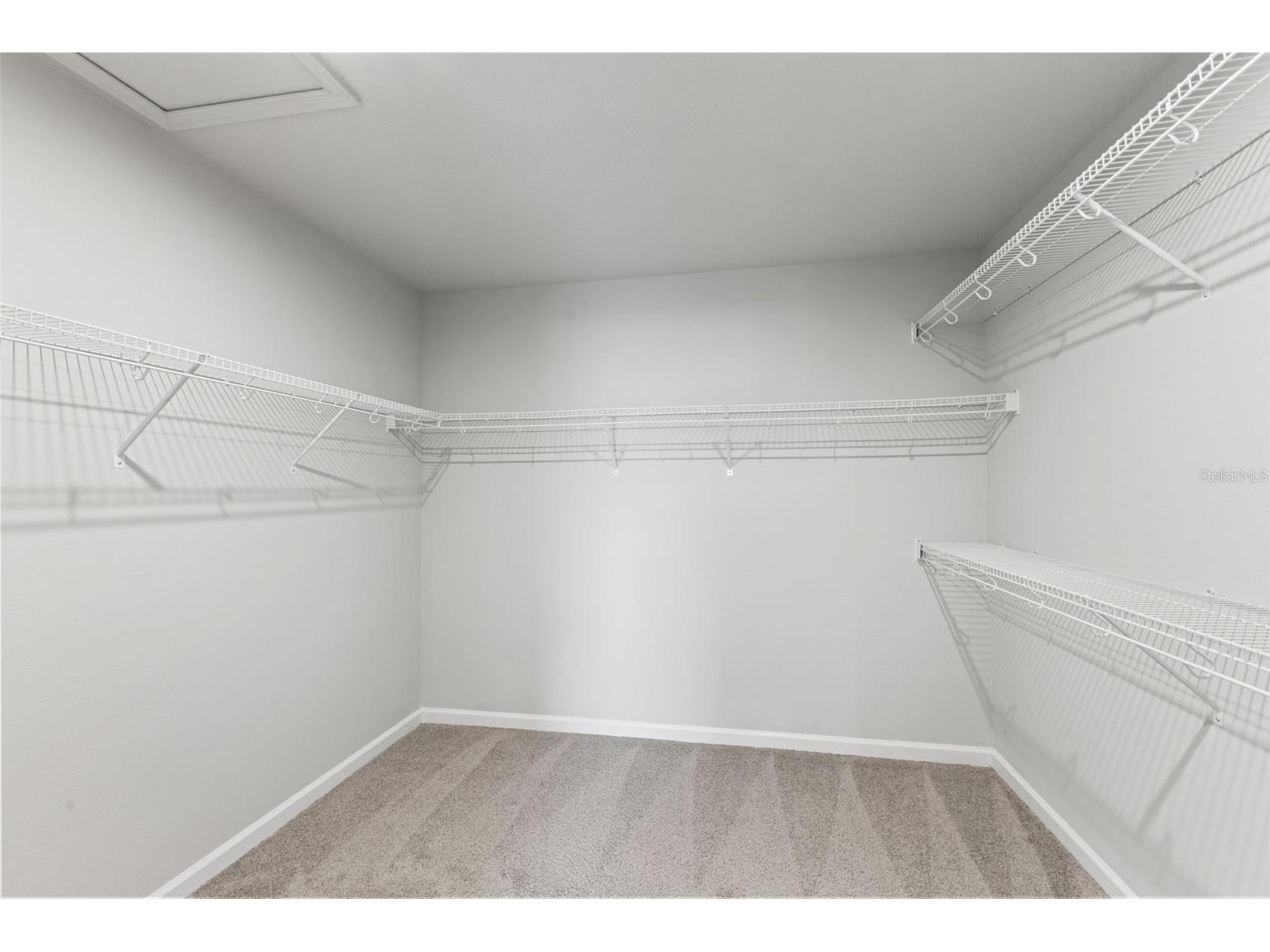 4221 Cloud Hopper Way Lutz FL 33559 TB8514451 image36