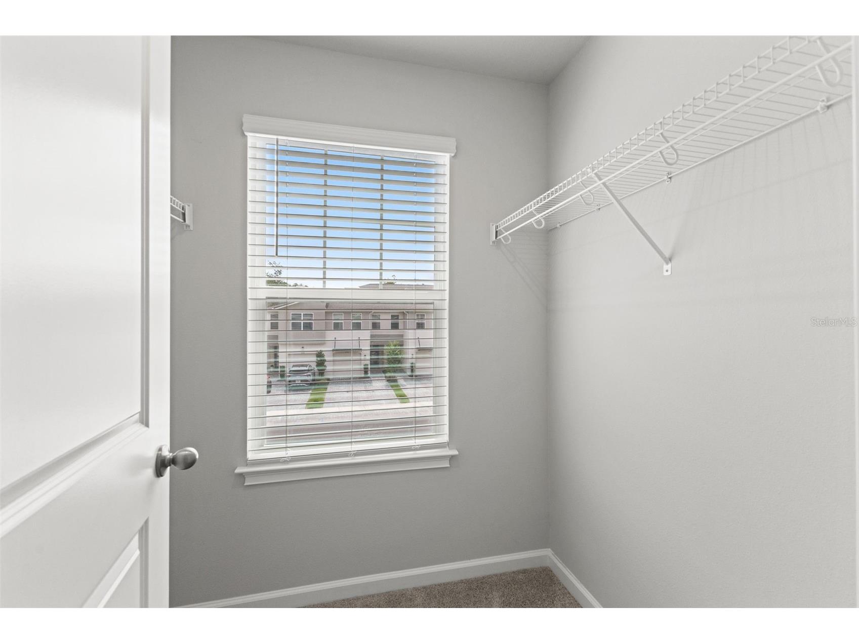 4221 Cloud Hopper Way Lutz FL 33559 TB8514451 image39