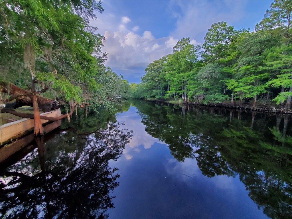 4221 E Withlacoochee Trail Dunnellon FL 34434 - WITHLACOOCHEE RIVER OM661867 image1