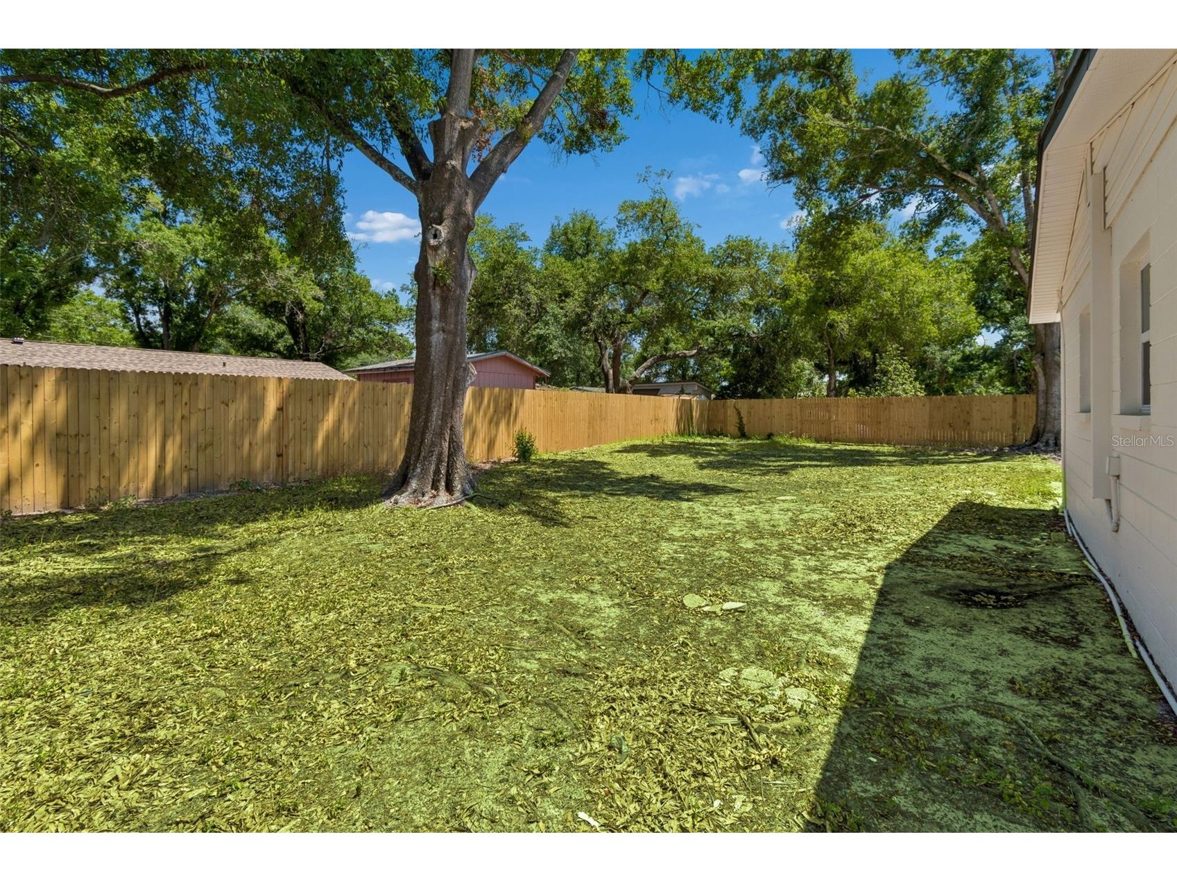 4221 Empire Place Tampa FL 33610 TB8504246 image47