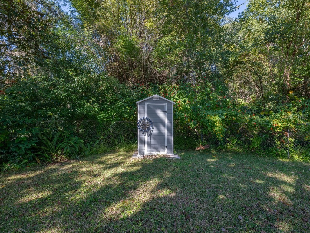 4221 Lake Eleanor Drive Mount Dora FL 32757 G5104625 image23