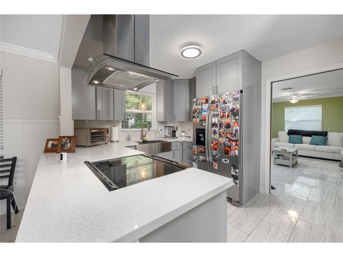 4221 Lake Eleanor Drive Mount Dora FL 32757 G5104625 image7