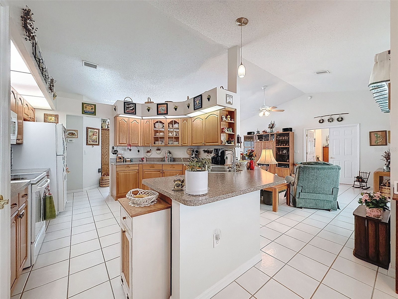 4221 Neff Lake Road Brooksville FL 34601 W7884320 image12