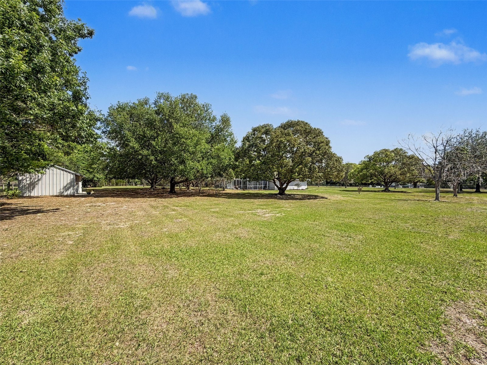 4221 Neff Lake Road Brooksville FL 34601 W7884320 image68