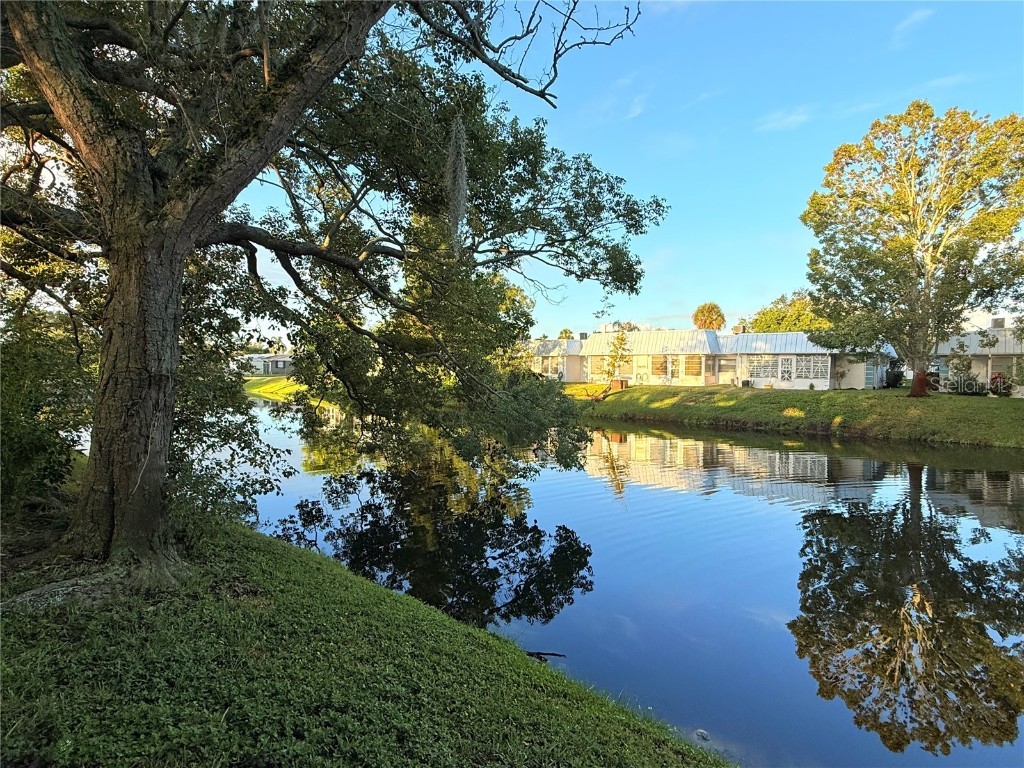 4221 Touchton Place #4221 New Port Richey FL 34652 W7879361 image5