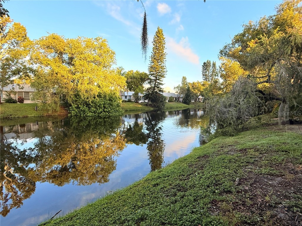 4221 Touchton Place #4221 New Port Richey FL 34652 W7881841 image4