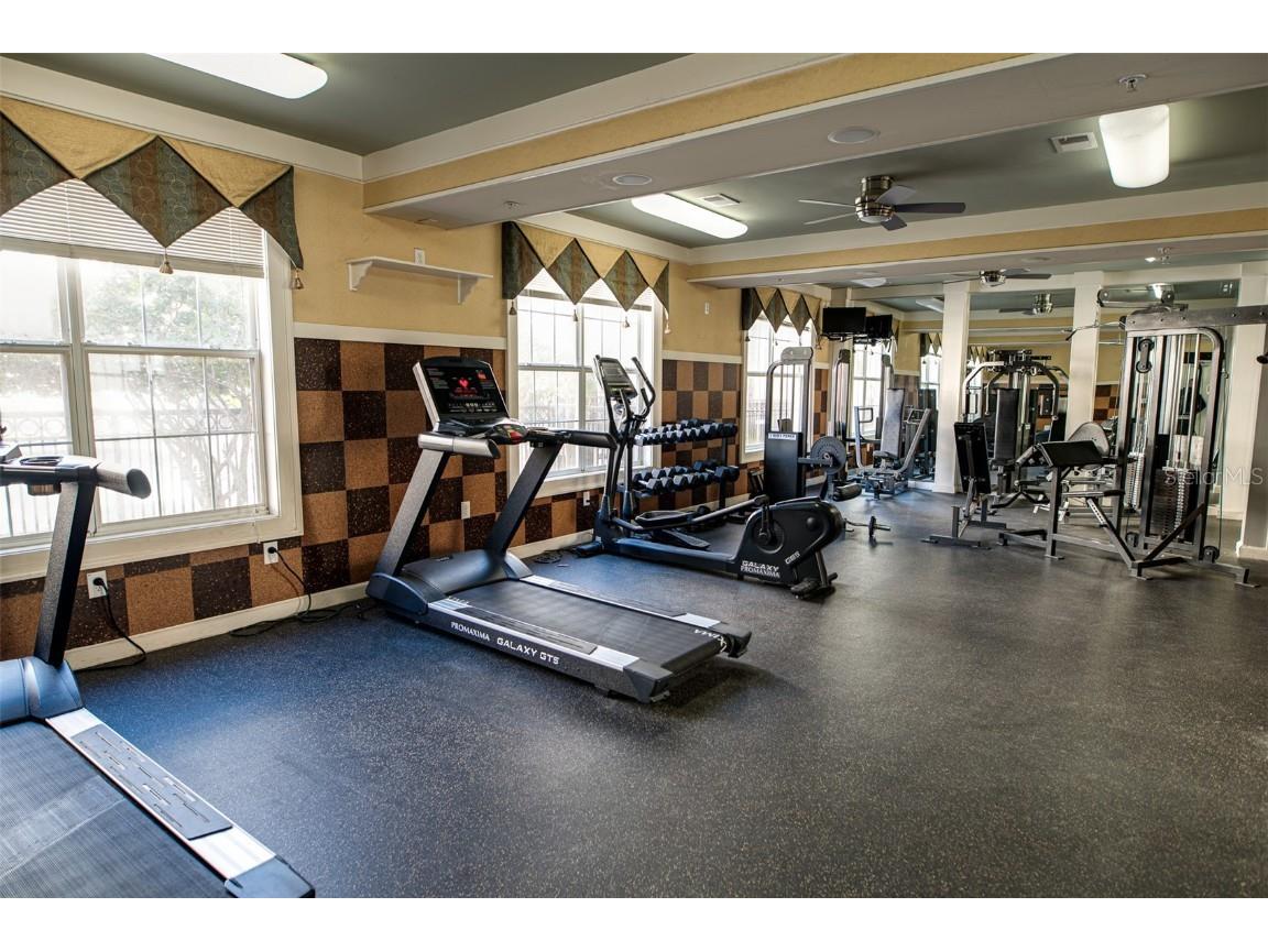 4221 W Spruce Street #1303 Tampa FL 33607 TB8384729 image23