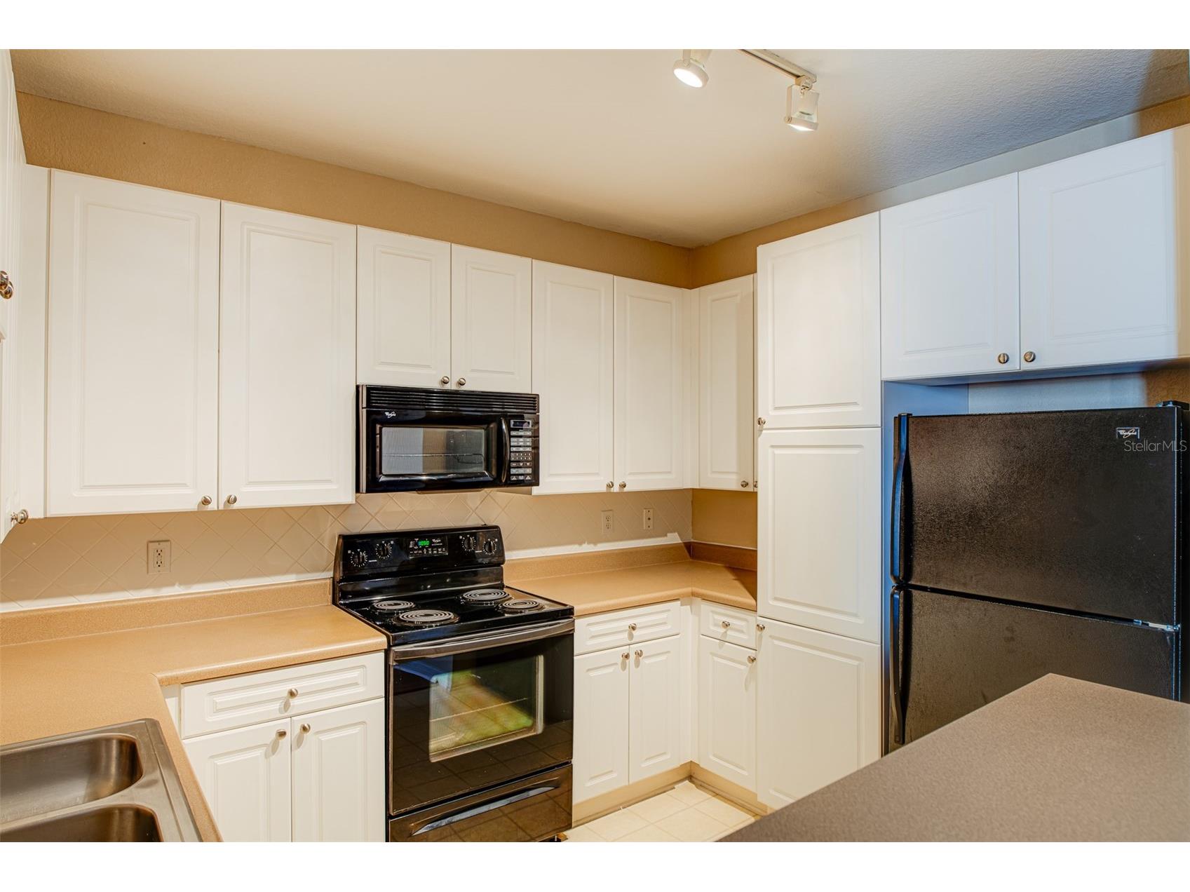 4221 W Spruce Street #1310 Tampa FL 33607 TB8464126 image7