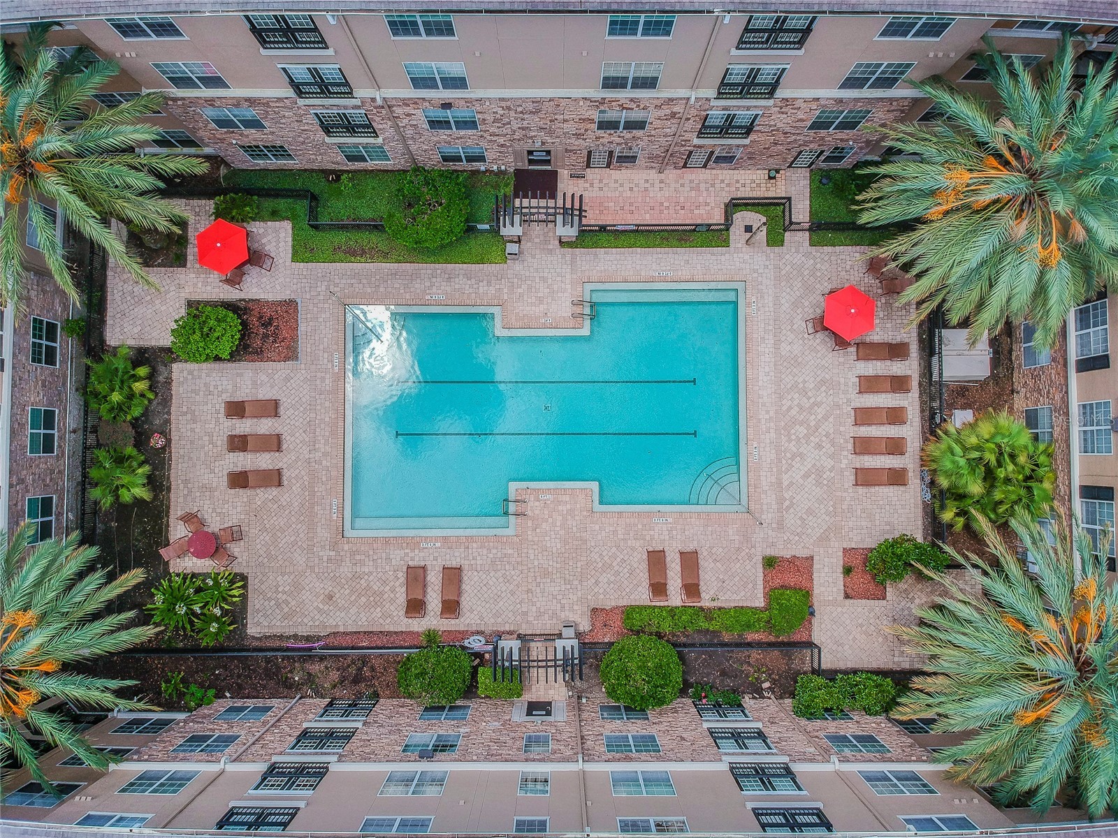 4221 W Spruce Street #1323 Tampa FL 33607 TB8525738 image24