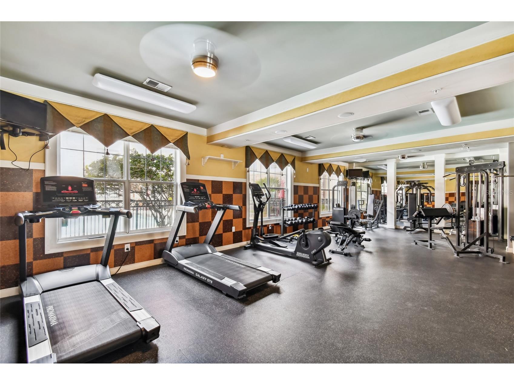 4221 W Spruce Street #1323 Tampa FL 33607 TB8525738 image30