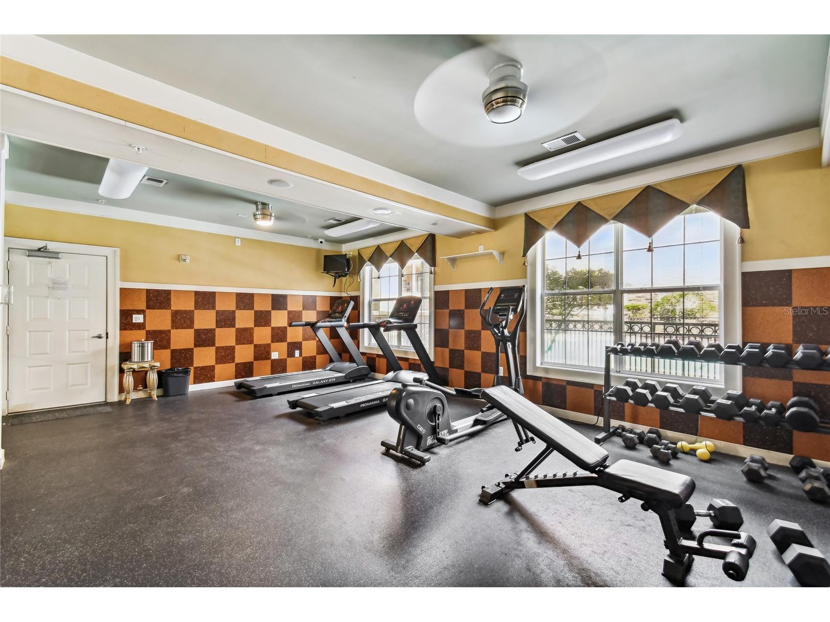 4221 W Spruce Street #1323 Tampa FL 33607 TB8525738 image31