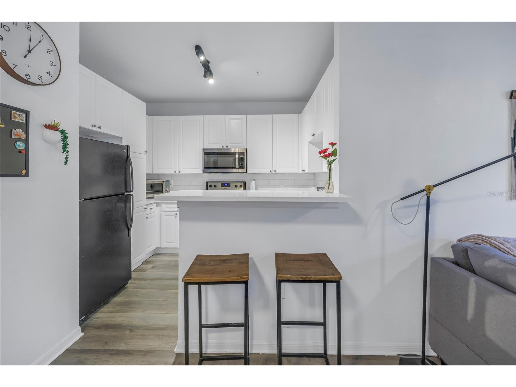 4221 W Spruce Street #1325 Tampa FL 33607 TB8491510 image12