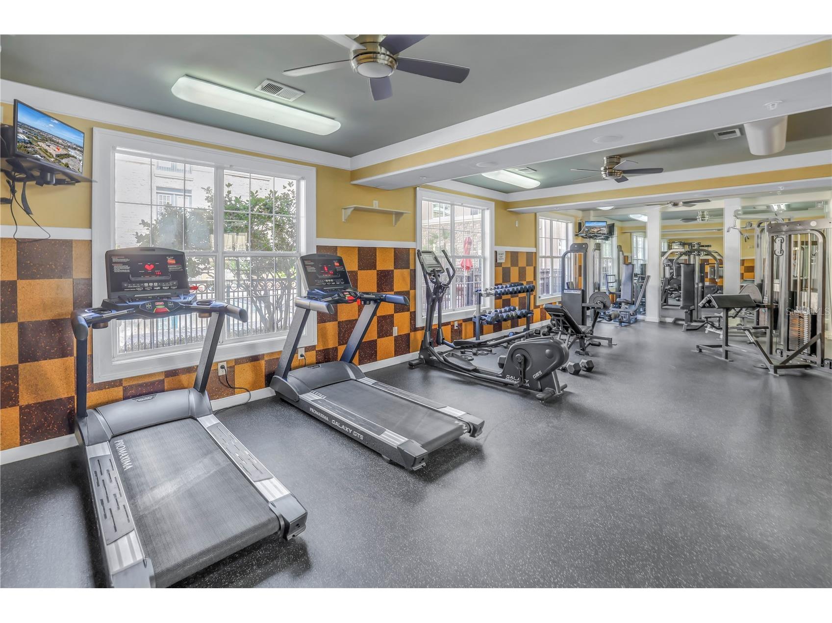 4221 W Spruce Street #1325 Tampa FL 33607 TB8491510 image25