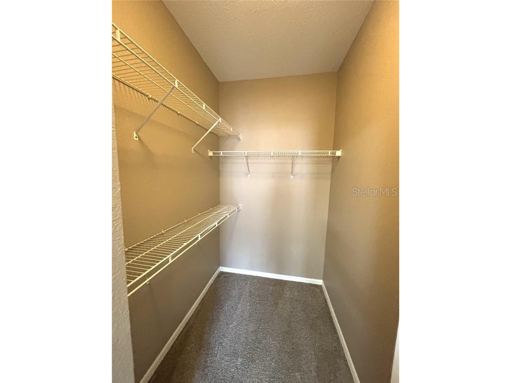 4221 W Spruce Street #1418 Tampa FL 33607 TB8444039 image15