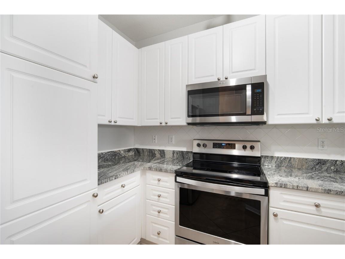 4221 W Spruce Street #1431 Tampa FL 33607 TB8380724 image11