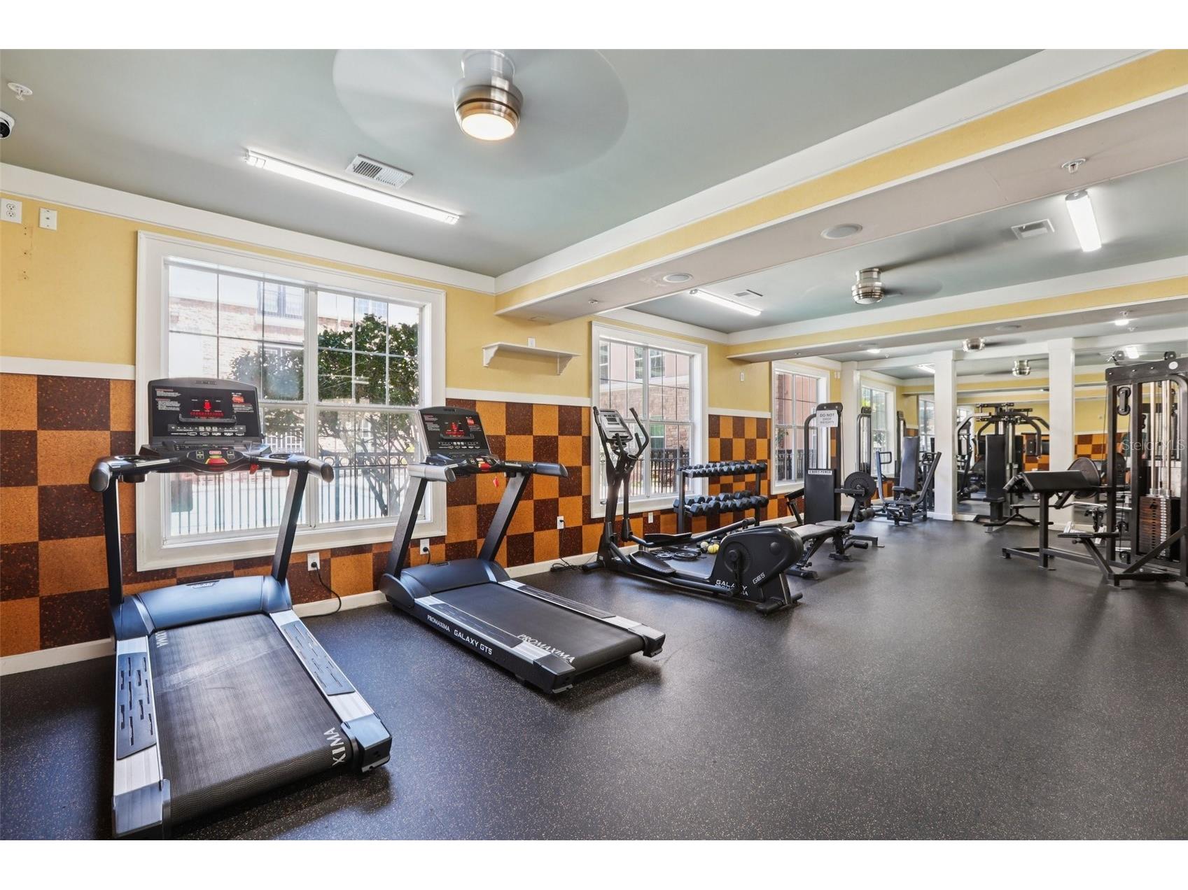 4221 W Spruce Street #2309 Tampa FL 33607 TB8508732 image29