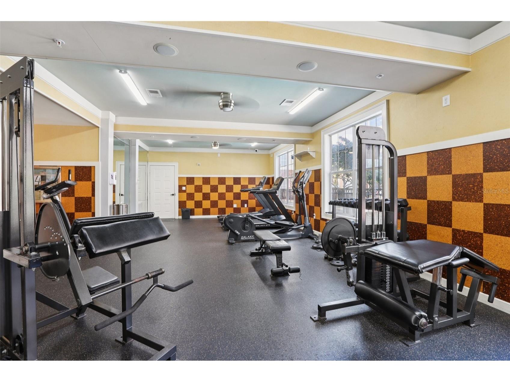4221 W Spruce Street #2309 Tampa FL 33607 TB8508732 image32