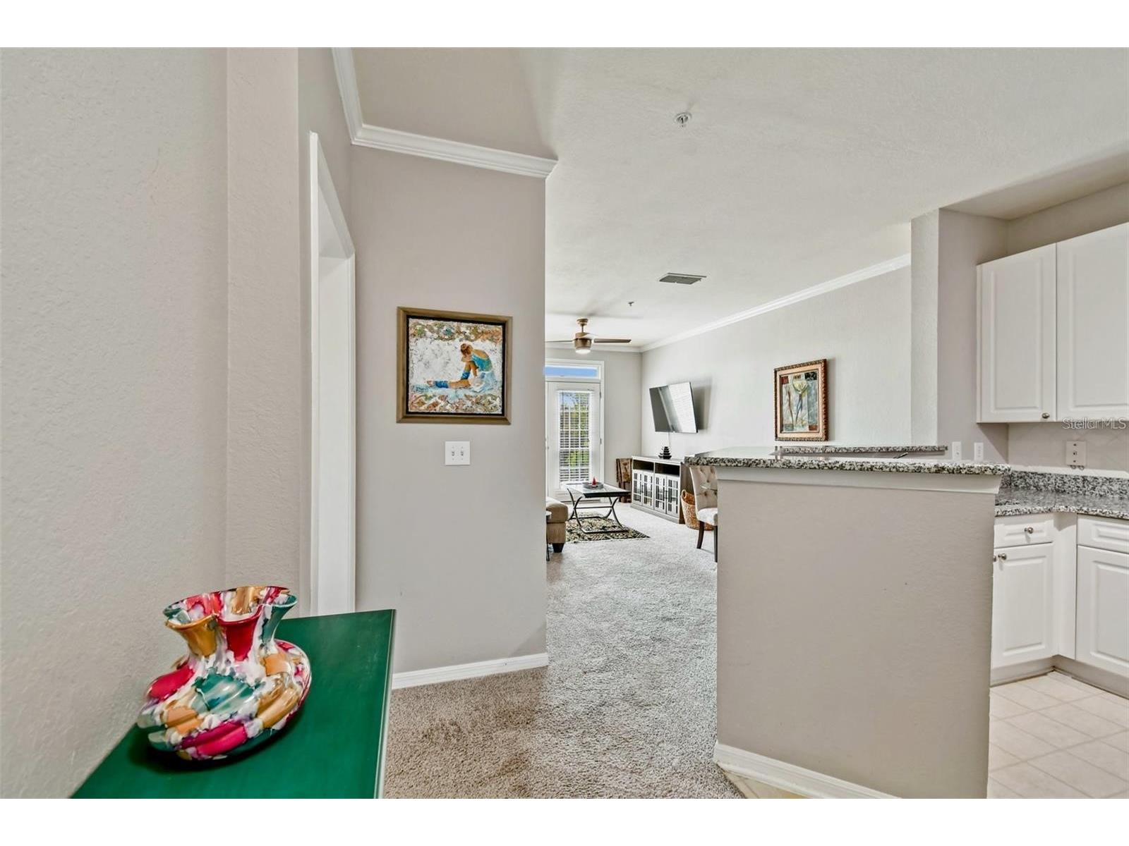 4221 W Spruce Street #2323 Tampa FL 33607 TB8515359 image2